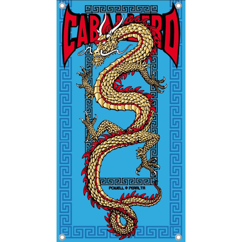 BACHE SKATE : CAB CHINESE DRAGON : TURQ/GOLD/RED