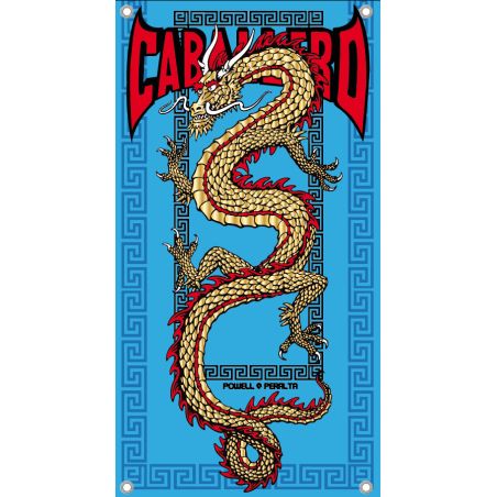 BACHE SKATE : CAB CHINESE DRAGON : TURQ/GOLD/RED