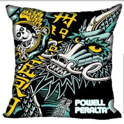 COUSSIN SKATE : CAB CHINESE AQUA/AQUA