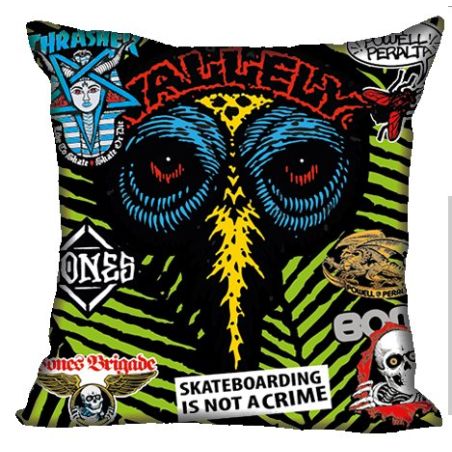 COUSSIN SKATE : TETE VALLELY STICKER VERT